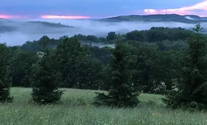 Domaine Du Colombier, La Liberte Vila *